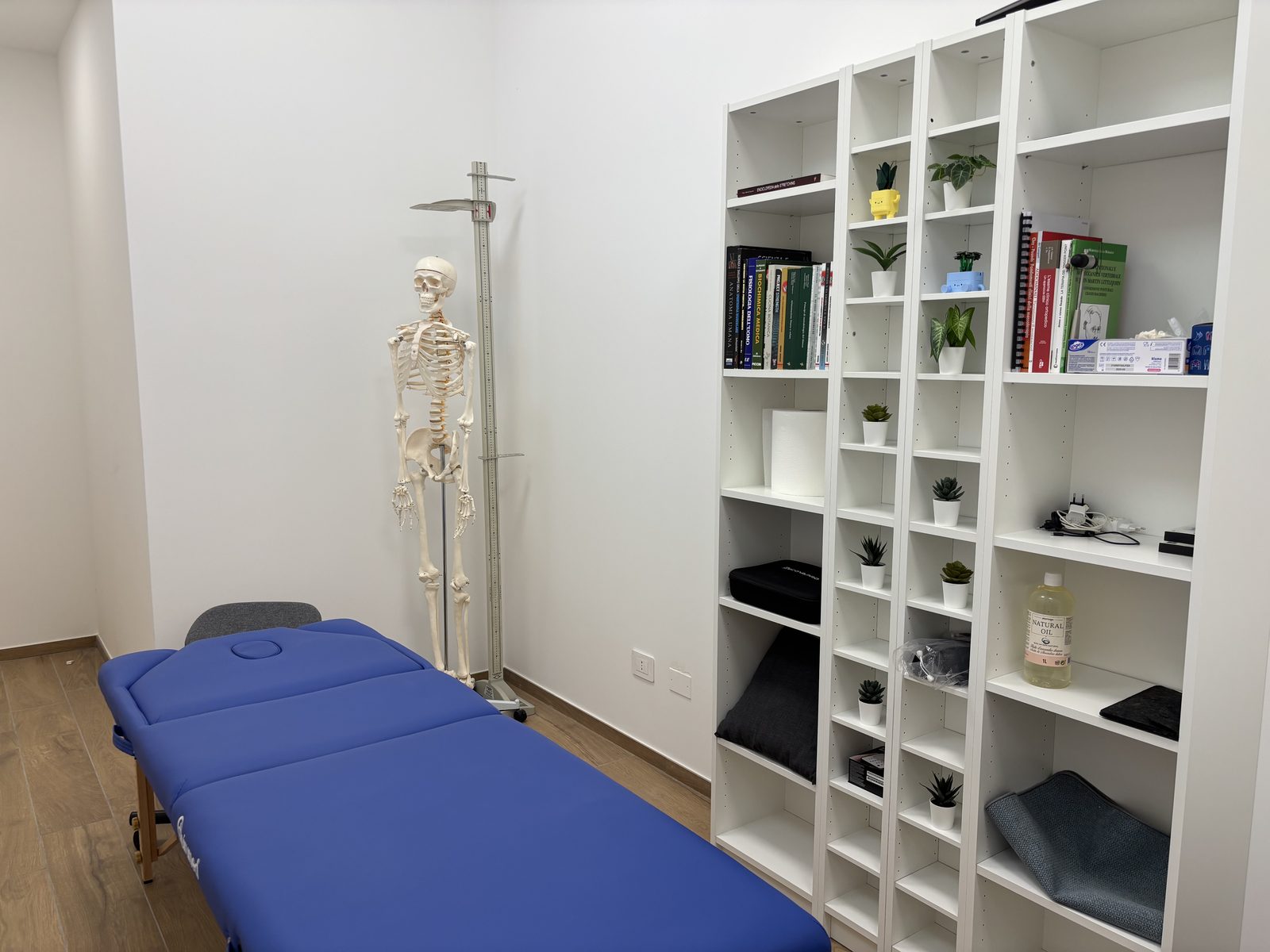 Sala di osteopatia dello studio Areté a Segrate, con lettino e modello anatomico