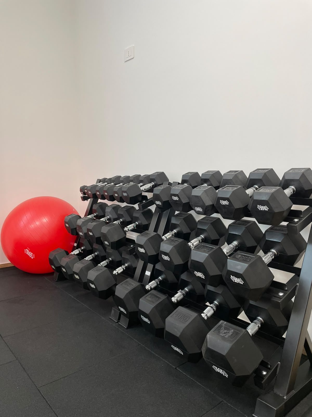 Rastrelliera di manubri nella sala allenamento Areté